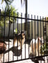 Fencing Fences Fence Aluminium 13