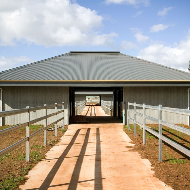 Cladding Roofing Sheeting Walling Corrugated CGI 25