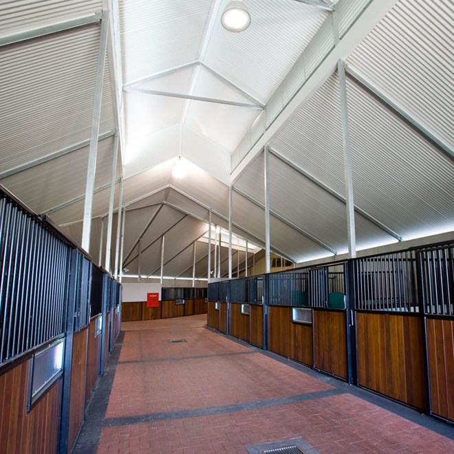 Cladding Roofing Sheeting Walling Corrugated CGI 28